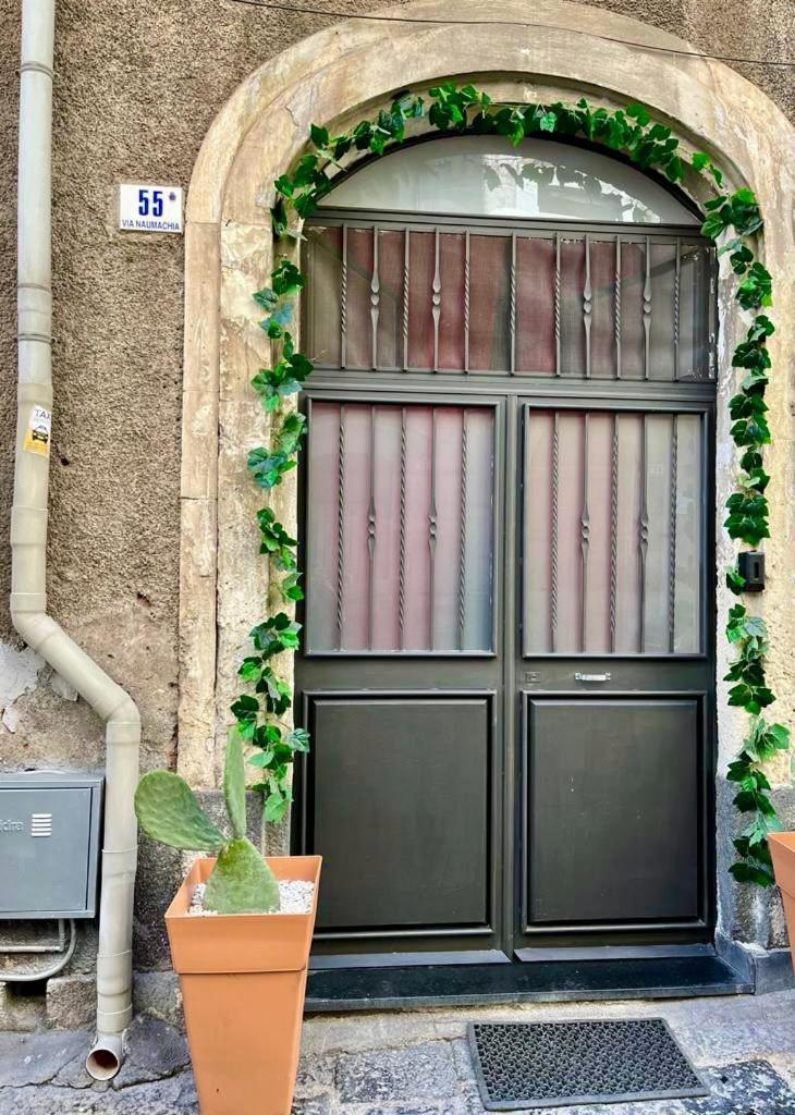 Ursino Holiday Apartment 卡塔尼亚 外观 照片